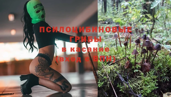 mdpv Магас