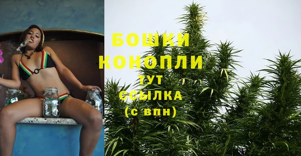 mdpv Магас