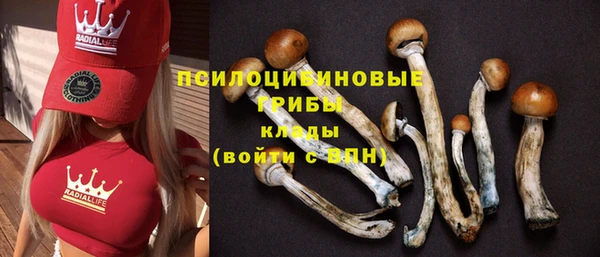 спайс Магадан